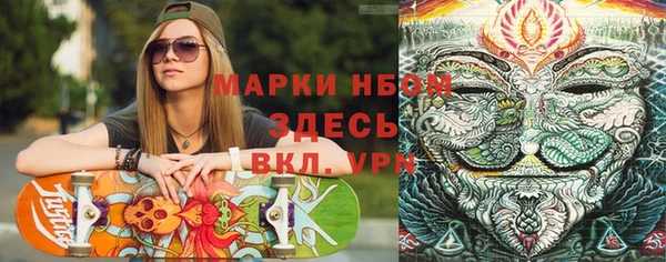 мдпв Дмитриев